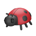 پیش‌نمایش فایل ladybug-8293890 از پک بهار