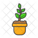 پیش‌نمایش فایل flower-pot-12767173 از پک بهار
