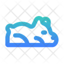 پیش‌نمایش فایل bear-5751139 از پک حیوان