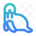 پیش‌نمایش فایل walrus-5751227 از پک حیوان