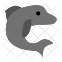 پیش‌نمایش فایل dolphin-5750962 از پک حیوان