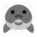 پیش‌نمایش فایل dolphin-head-5750961 از پک حیوان