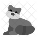 پیش‌نمایش فایل racoon-5751010 از پک حیوان