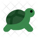 پیش‌نمایش فایل turtle-5751025 از پک حیوان