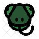 پیش‌نمایش فایل chameleon-head-5750737 از پک حیوان
