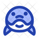 پیش‌نمایش فایل dolphin-head-5750852 از پک حیوان