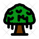 پیش‌نمایش فایل banyan-tree-6245447 از پک جنگل