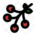 پیش‌نمایش فایل berries-6245451 از پک جنگل