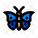 پیش‌نمایش فایل butterfly-6245458 از پک جنگل