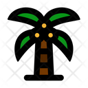 پیش‌نمایش فایل coconut-tree-6245464 از پک جنگل