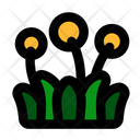 پیش‌نمایش فایل dandelion-6245470 از پک جنگل