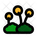 پیش‌نمایش فایل dandelion-plant-6245469 از پک جنگل