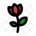 پیش‌نمایش فایل flower-6245478 از پک جنگل