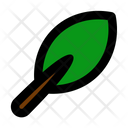 پیش‌نمایش فایل leaf-6245495 از پک جنگل