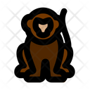 پیش‌نمایش فایل monkey-6245504 از پک جنگل
