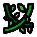پیش‌نمایش فایل vines-plant-6245533 از پک جنگل