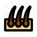 پیش‌نمایش فایل hair-11283669 از پک زیبایی