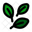 پیش‌نمایش فایل tea-leaf-11291699 از پک کافه