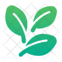 پیش‌نمایش فایل tea-leaf-11292122 از پک کافه