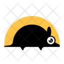 پیش‌نمایش فایل armadillo-1691449 از پک حیوان