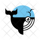 پیش‌نمایش فایل whale-1691450 از پک حیوان