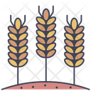 پیش‌نمایش فایل barley-rice-2718712 از پک مزرعه