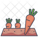 پیش‌نمایش فایل carrot-plot-2718709 از پک مزرعه