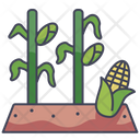 پیش‌نمایش فایل corn-plots-2718708 از پک مزرعه