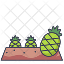 پیش‌نمایش فایل pineapple-plot-2718707 از پک مزرعه