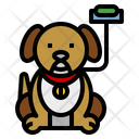 پیش‌نمایش فایل dog-4679600 از پک سرگرمی ها و اوقات فراغت