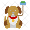 پیش‌نمایش فایل dog-4681522 از پک سرگرمی ها و اوقات فراغت