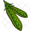 پیش‌نمایش فایل bean-46 از پک میوه ها و سبزیجات