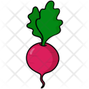 پیش‌نمایش فایل beet-65 از پک میوه ها و سبزیجات
