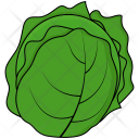 پیش‌نمایش فایل cabbage-51 از پک میوه ها و سبزیجات