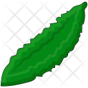 پیش‌نمایش فایل cucumber-84 از پک میوه ها و سبزیجات