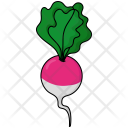 پیش‌نمایش فایل radish-37 از پک میوه ها و سبزیجات
