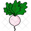 پیش‌نمایش فایل radish-43 از پک میوه ها و سبزیجات جلد 4