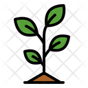 پیش‌نمایش فایل plant-5241380 از پک کشاورزی