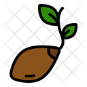 پیش‌نمایش فایل seeds-5241374 از پک کشاورزی