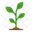پیش‌نمایش فایل plant-5241406 از پک کشاورزی