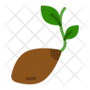 پیش‌نمایش فایل seeds-5241425 از پک کشاورزی