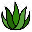 پیش‌نمایش فایل aloe-vera-5271787 از پک اسپا