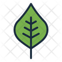 پیش‌نمایش فایل leaf-5367612 از پک پاییز