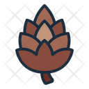 پیش‌نمایش فایل pinecone-5367604 از پک پاییز