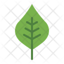 پیش‌نمایش فایل leaf-5367589 از پک پاییز