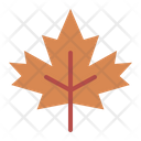 پیش‌نمایش فایل maple-5367594 از پک پاییز
