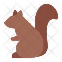 پیش‌نمایش فایل squirrel-5367580 از پک پاییز