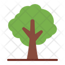 پیش‌نمایش فایل tree-5367597 از پک پاییز