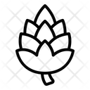 پیش‌نمایش فایل pinecone-5367502 از پک پاییز