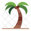پیش‌نمایش فایل palm-tree-5561488 از پک تابستان